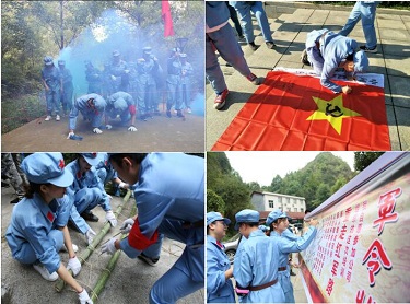 教学形式