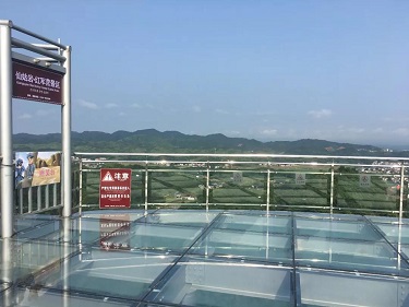 党建 风采