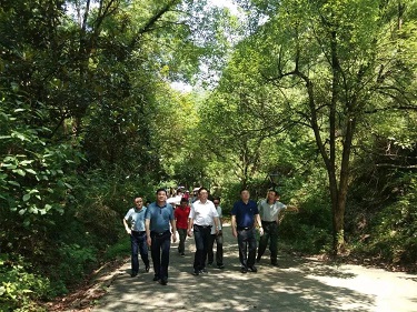 党建 风采