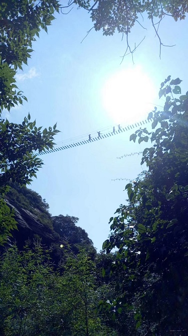 党建 风采