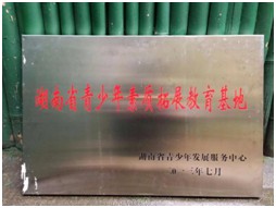 党建,研学,红色精神