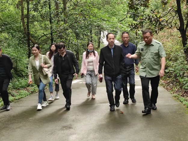 党建,研学,红色精神